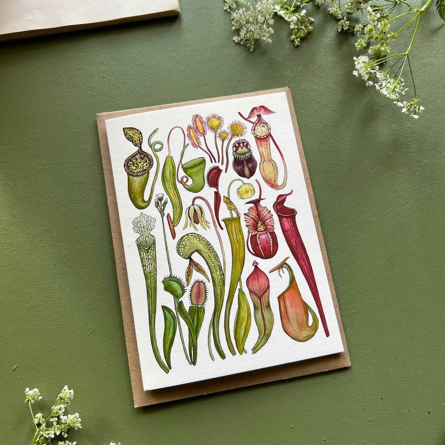 Carnivorous Plants Card