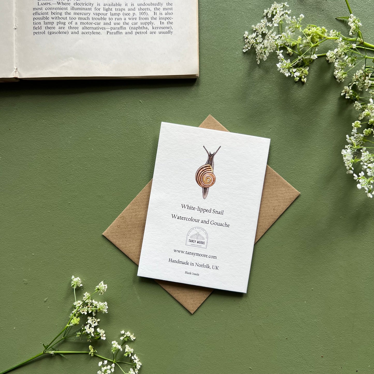 White-lipped Snail Mini Card