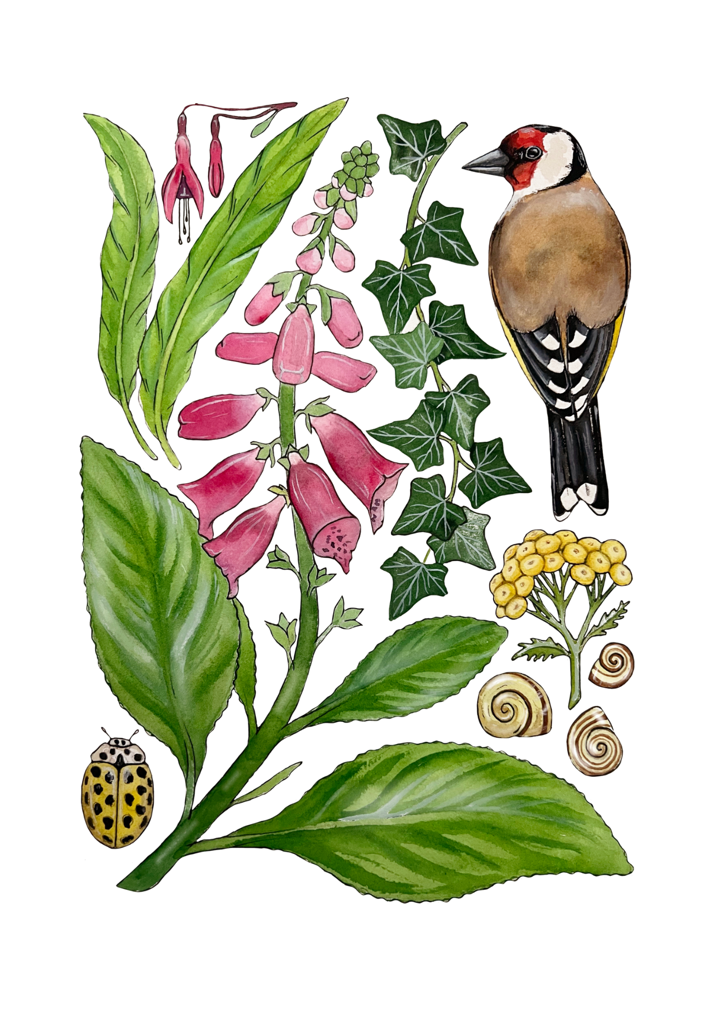 Wild Cottage Garden Print