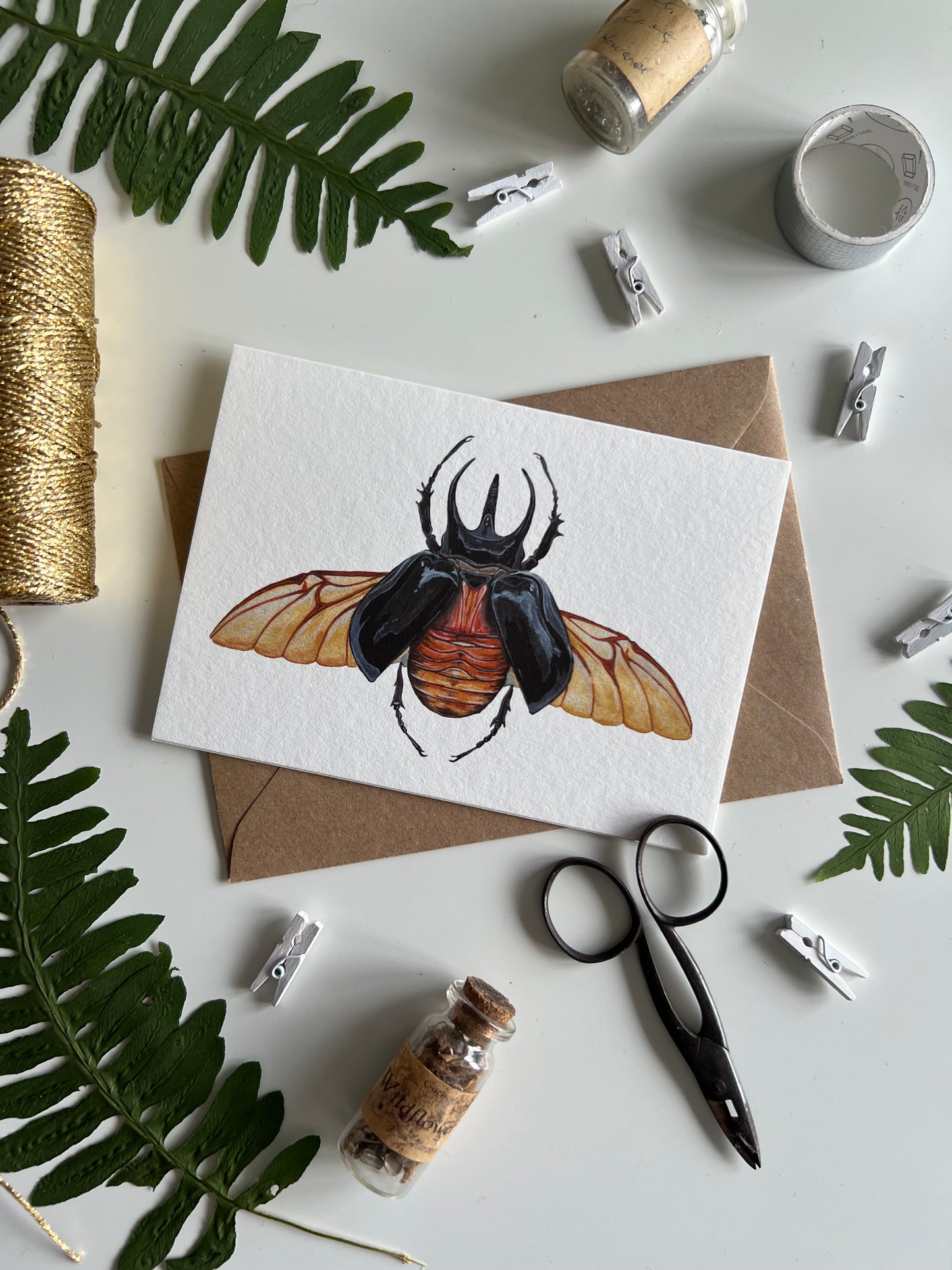 Atlas Beetle Card