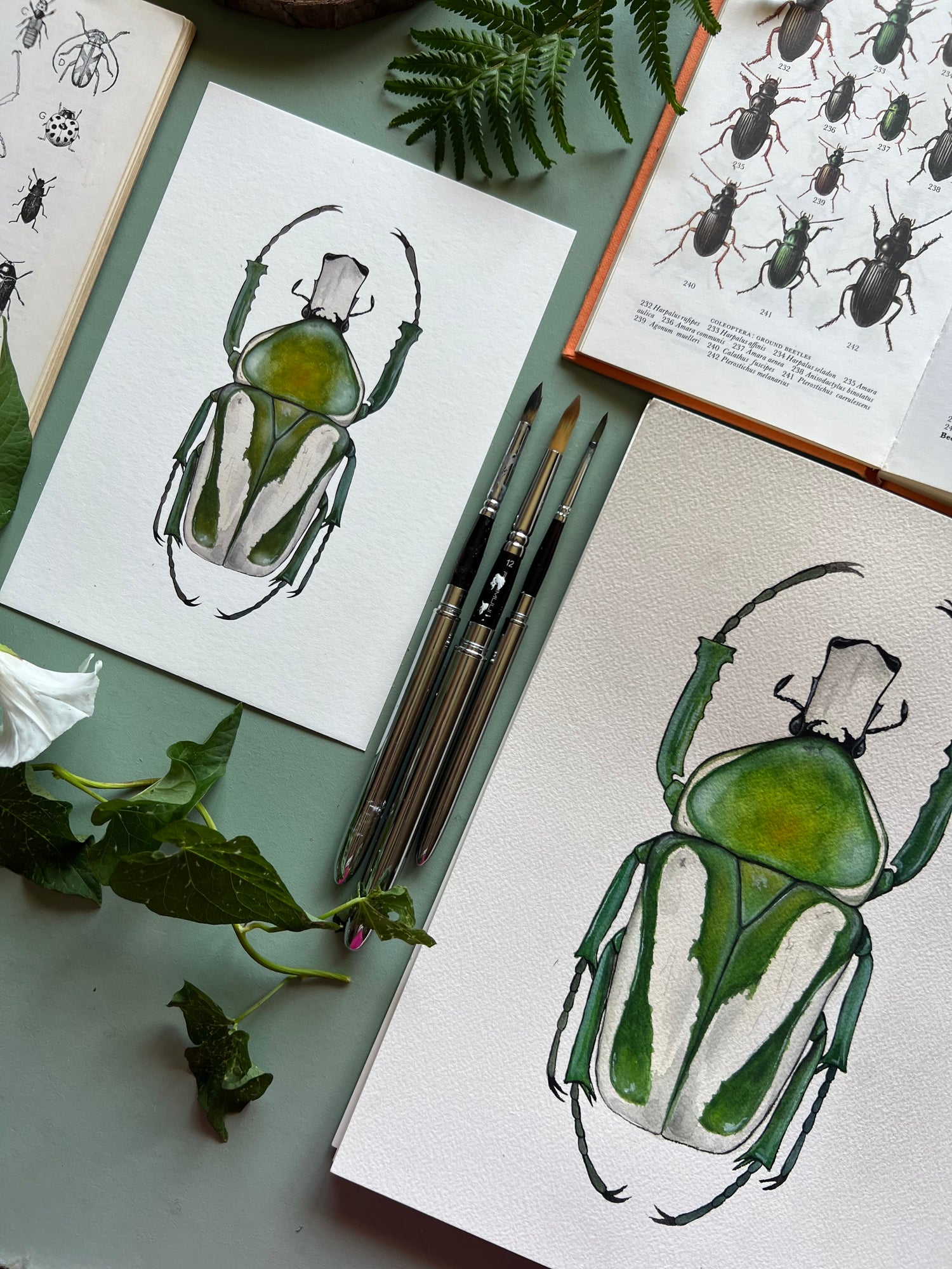 Original Paintings