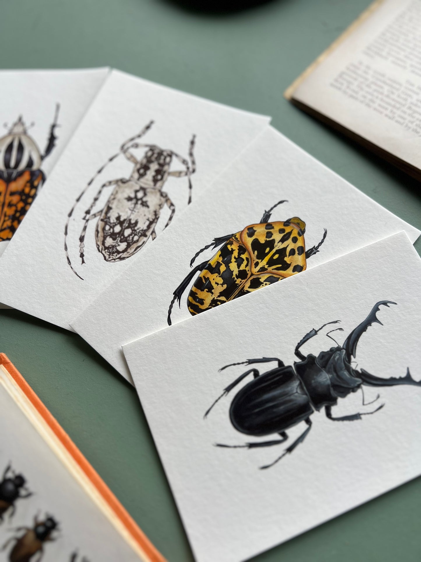 Beetle Print Set
