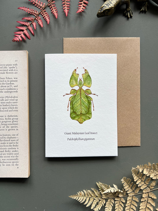 Leaf Insect Card