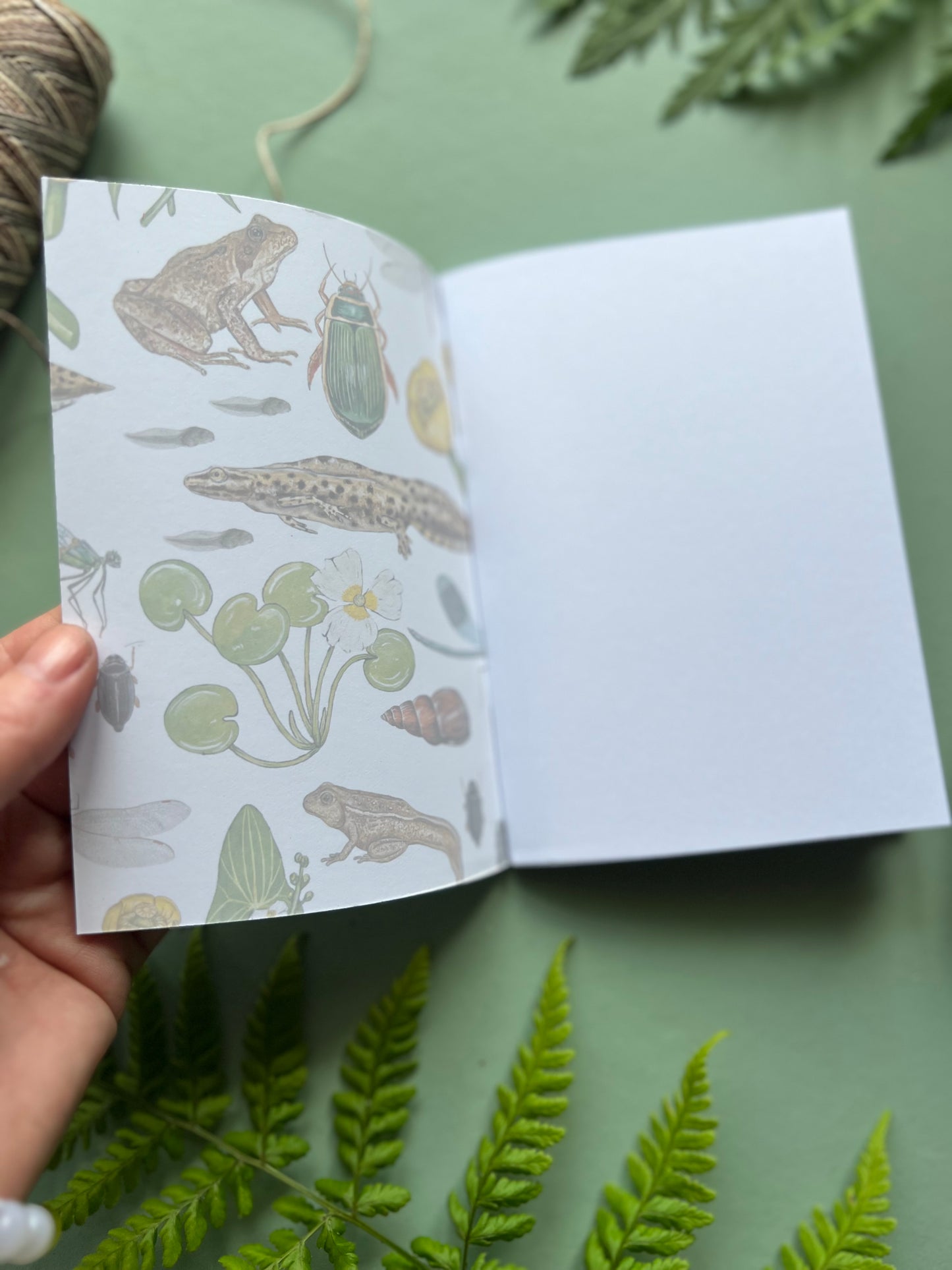 Pond Life Pocket Notebook