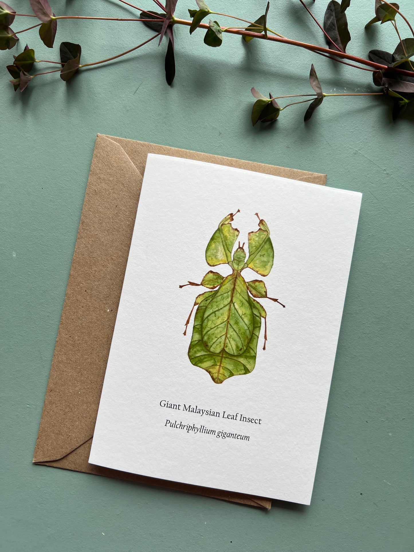 Leaf Insect Card