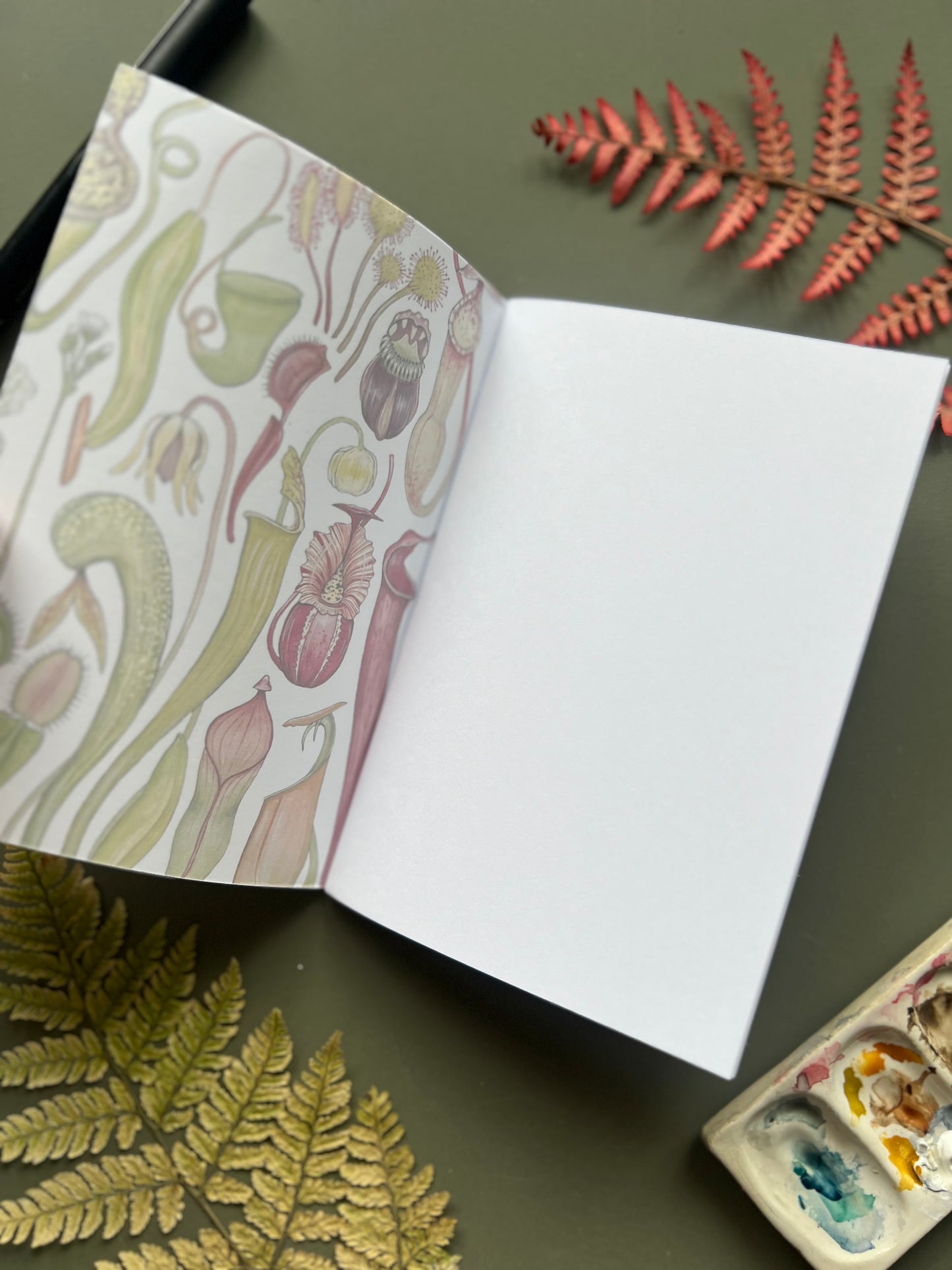 Carnivorous Plants Pocket Notebook