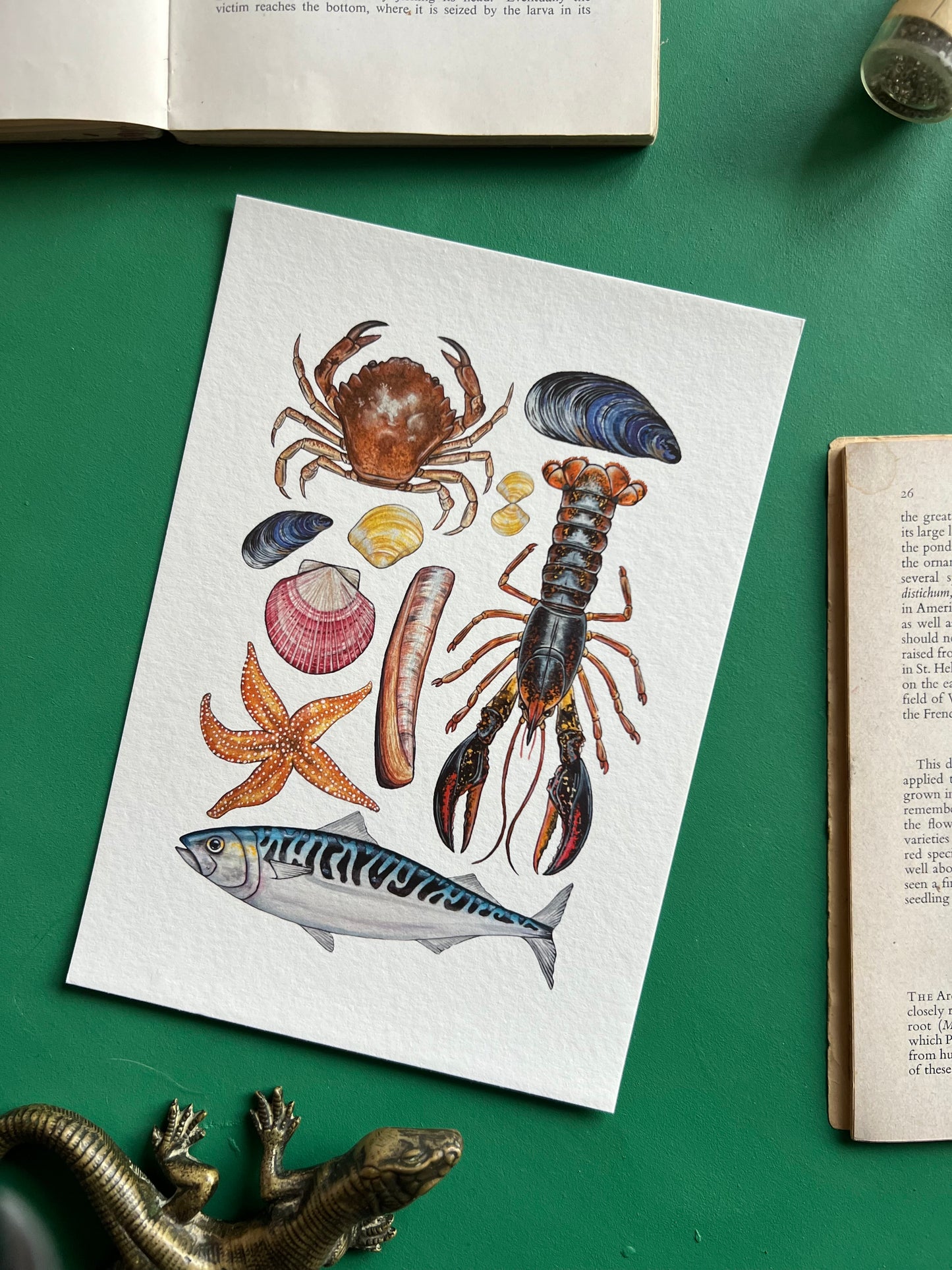 Marine Life
