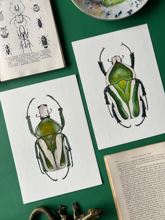 Beetle Print Set