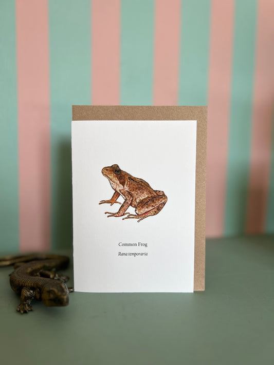 Common Frog