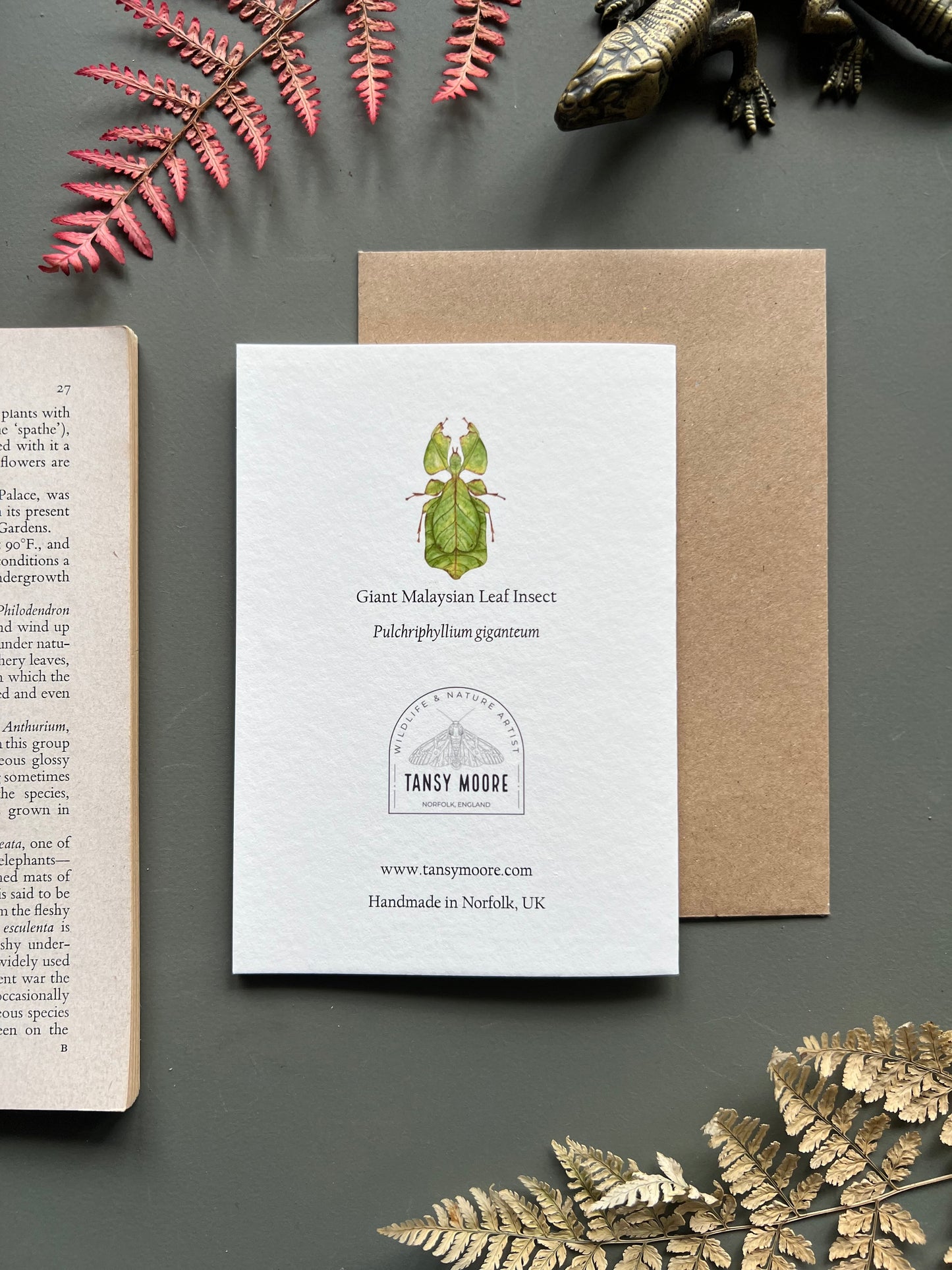 Leaf Insect Card