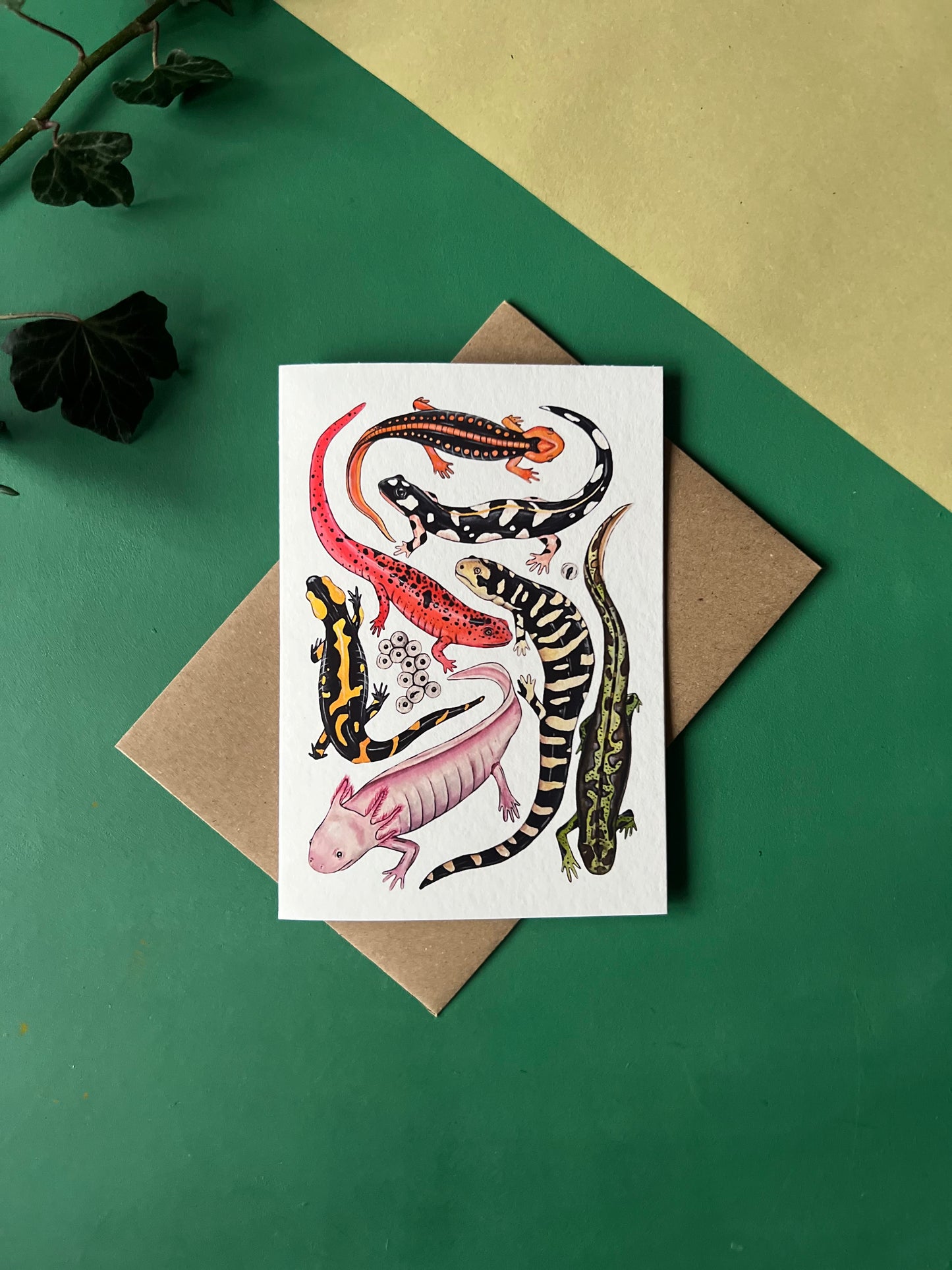 Salamanders Card