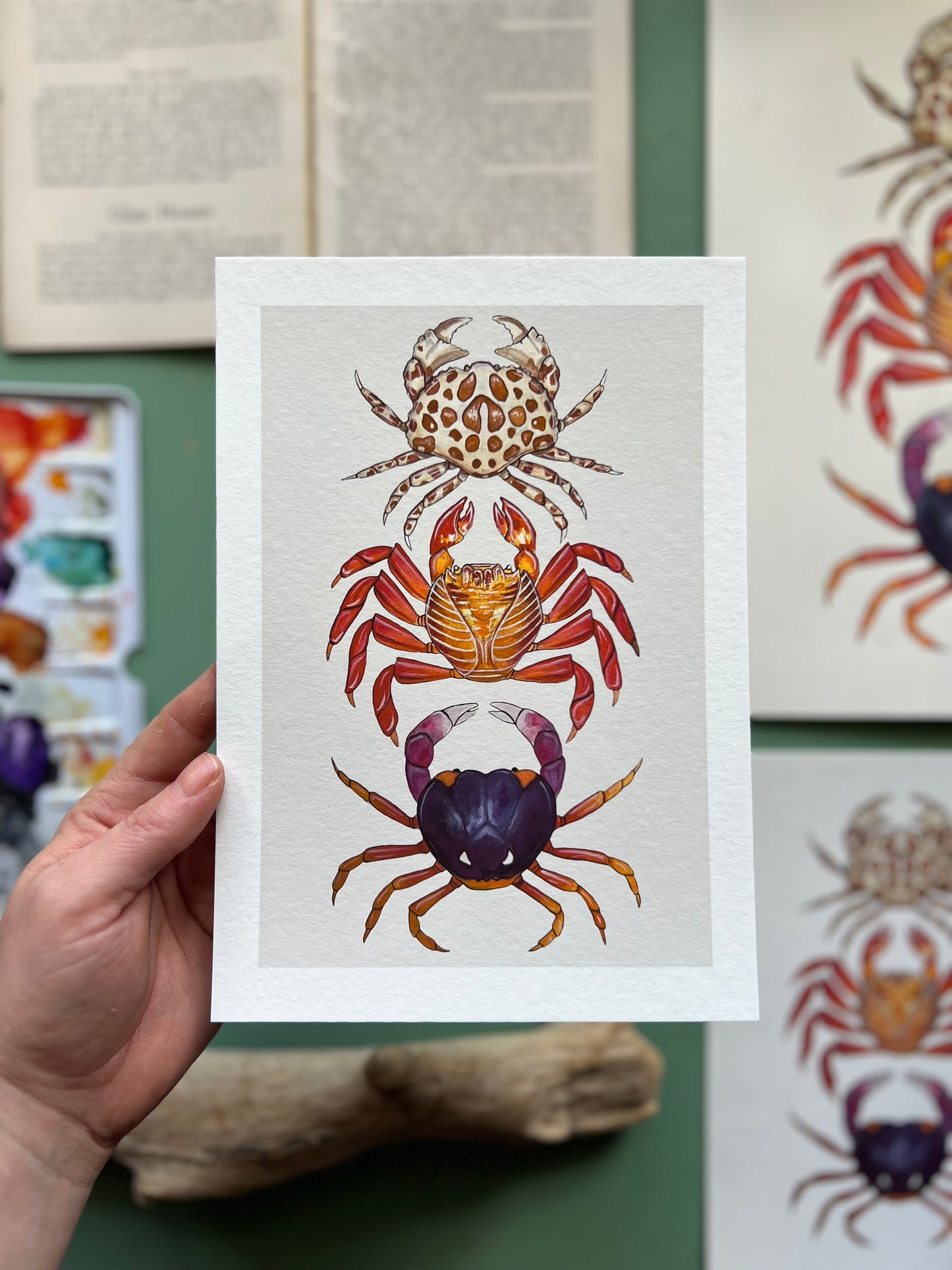 Crabs Print, Marine life