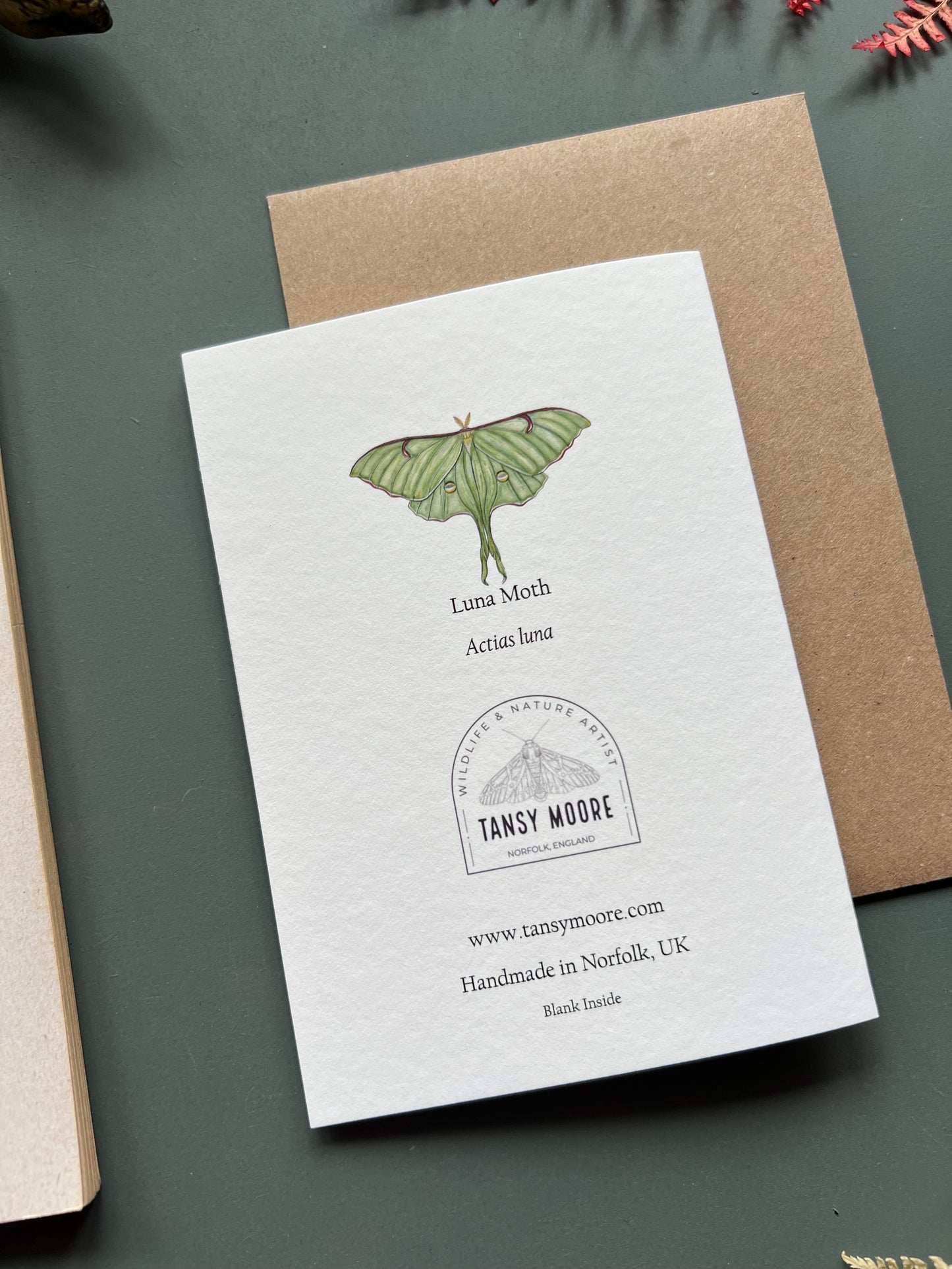 Luna Moth Card