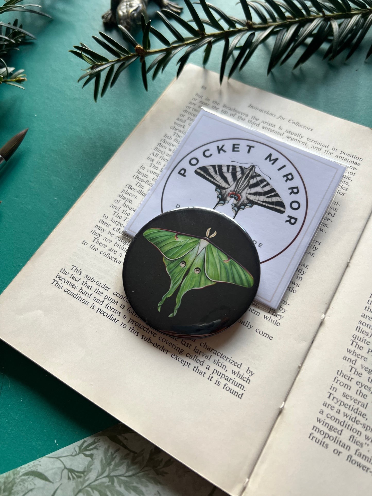 Luna Moth Pocket Mirror