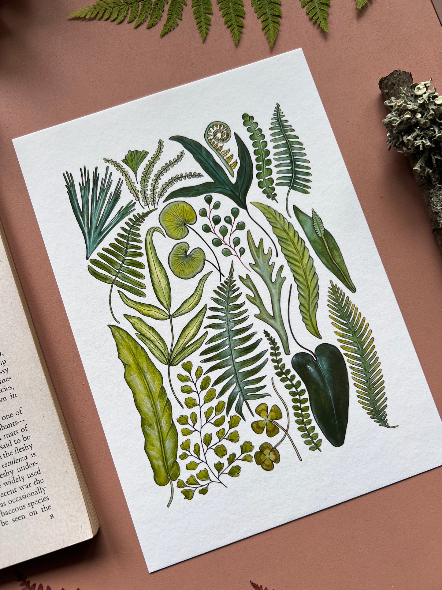 Fern Print