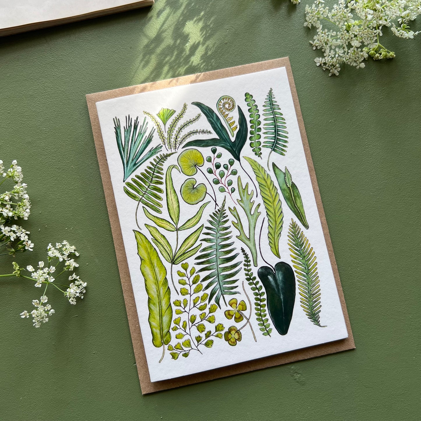 Ferns Card