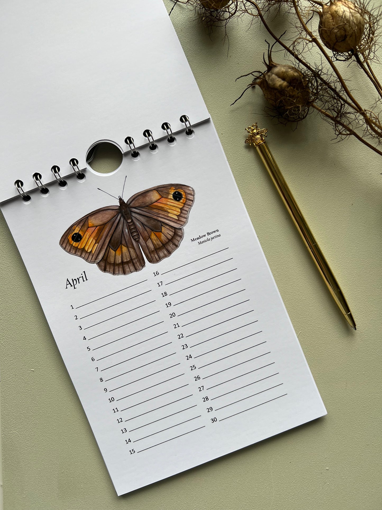 Butterfly and Moth Birthday and Other Important Dates Calendar, Perpetual Calendar