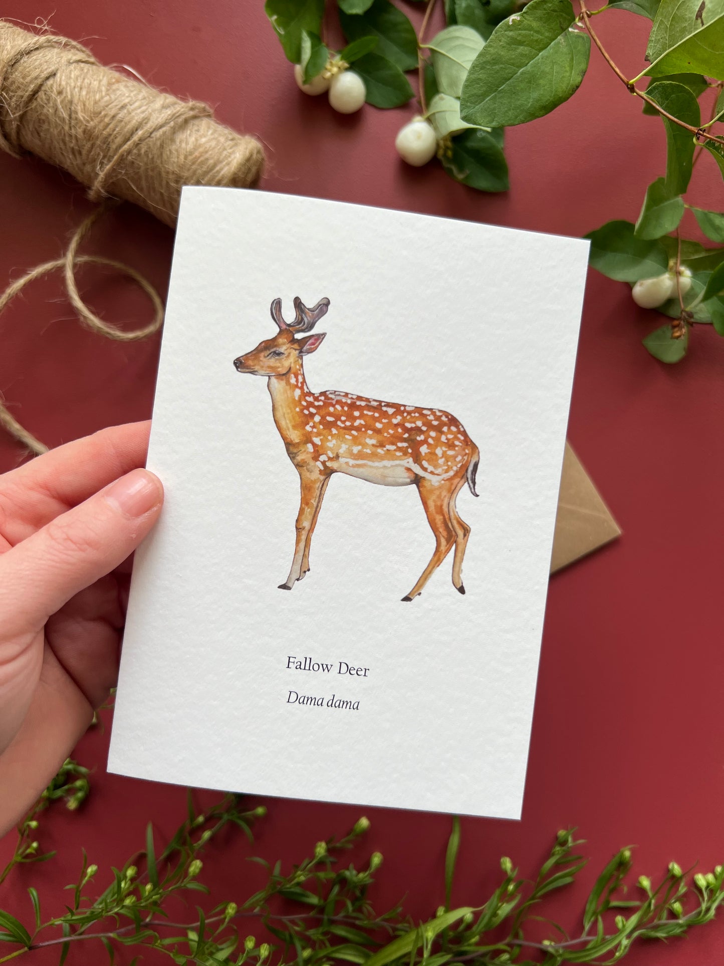 Fallow Deer Card