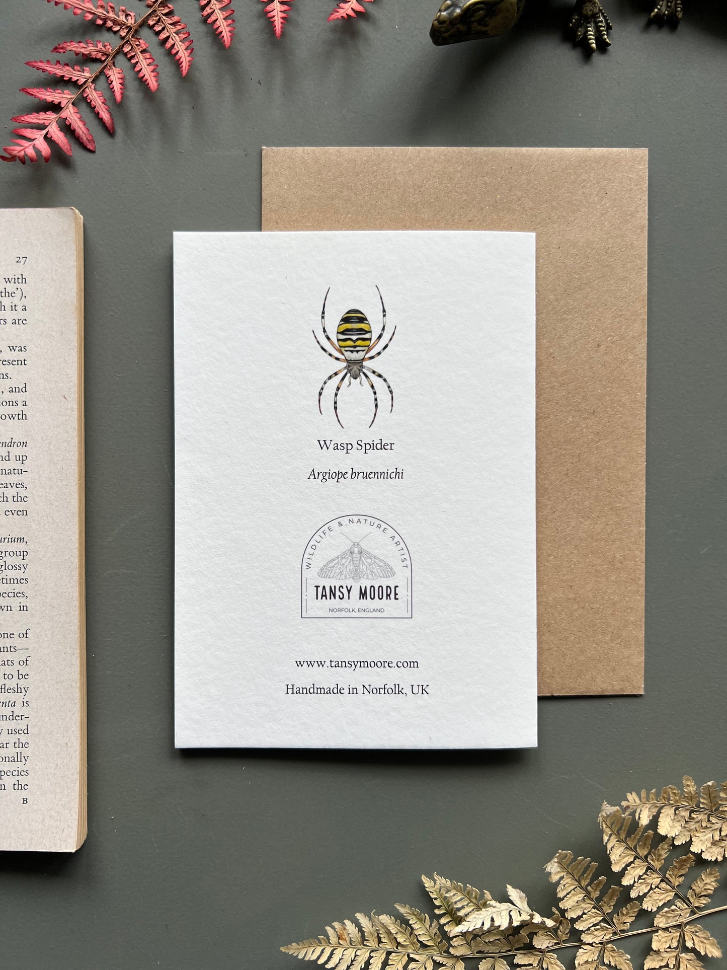 Wasp Spider Card