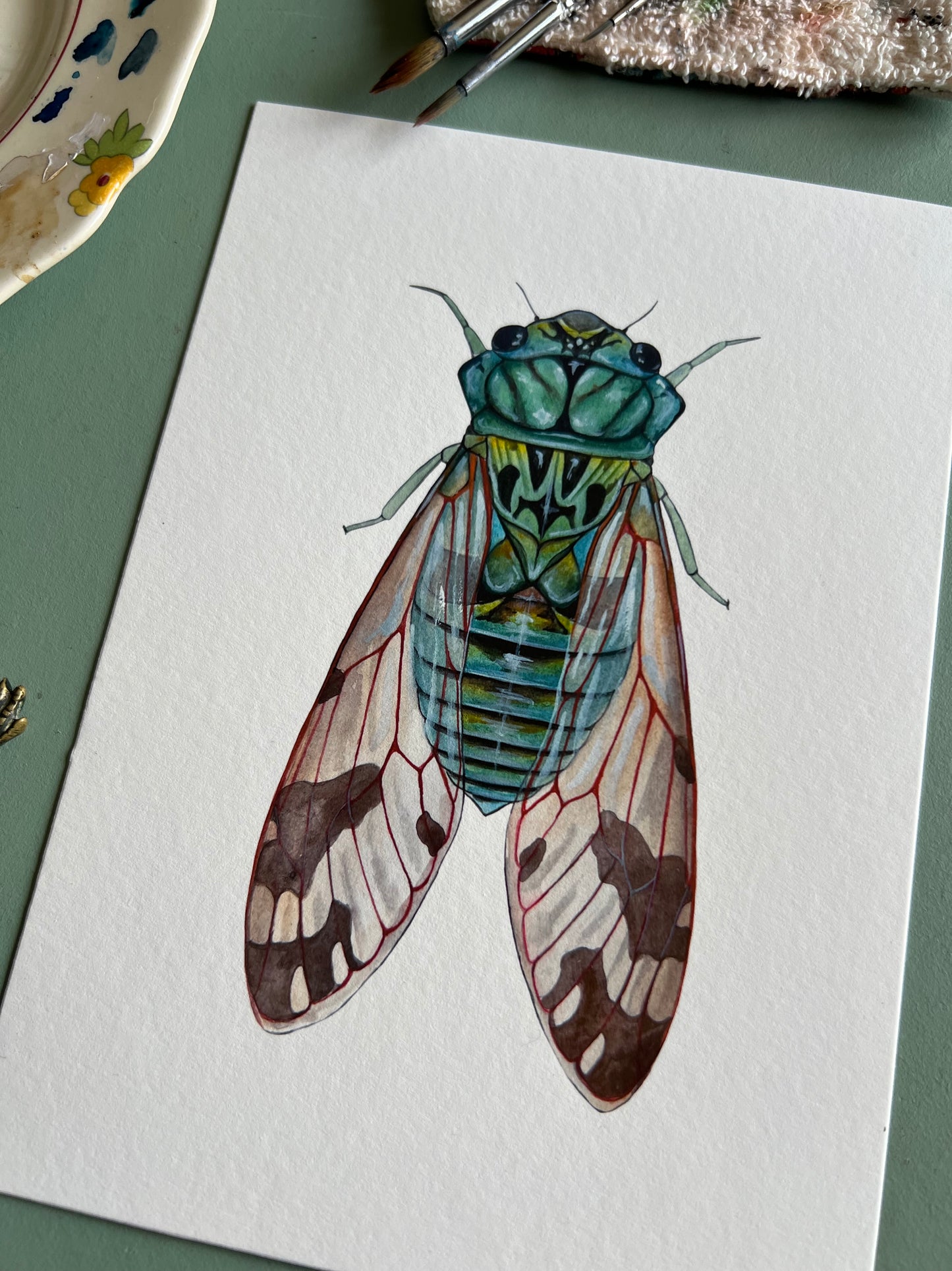 Emerald Cicada