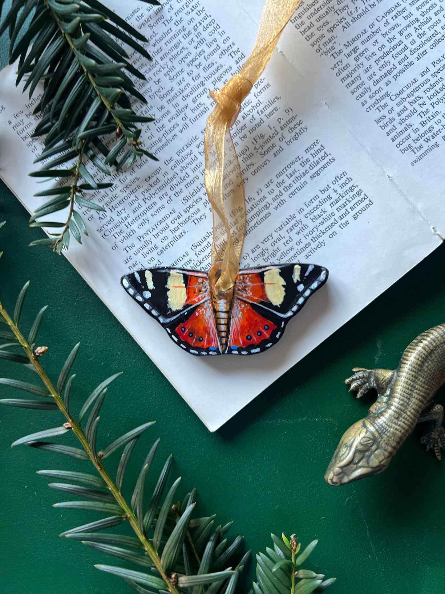 Australian Admiral / Yellow Admiral