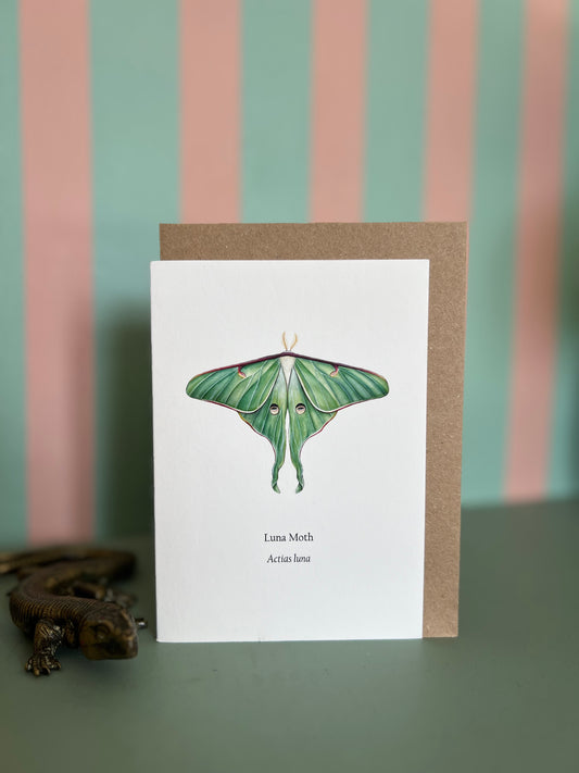 Luna Moth Card