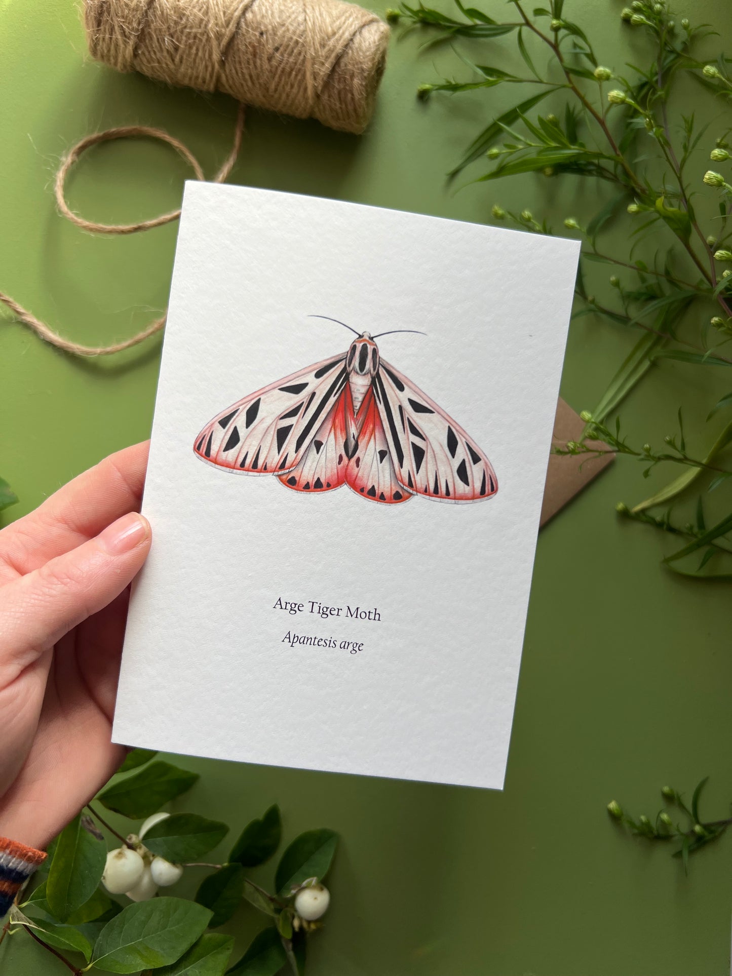 Arge Tiger Moth Card