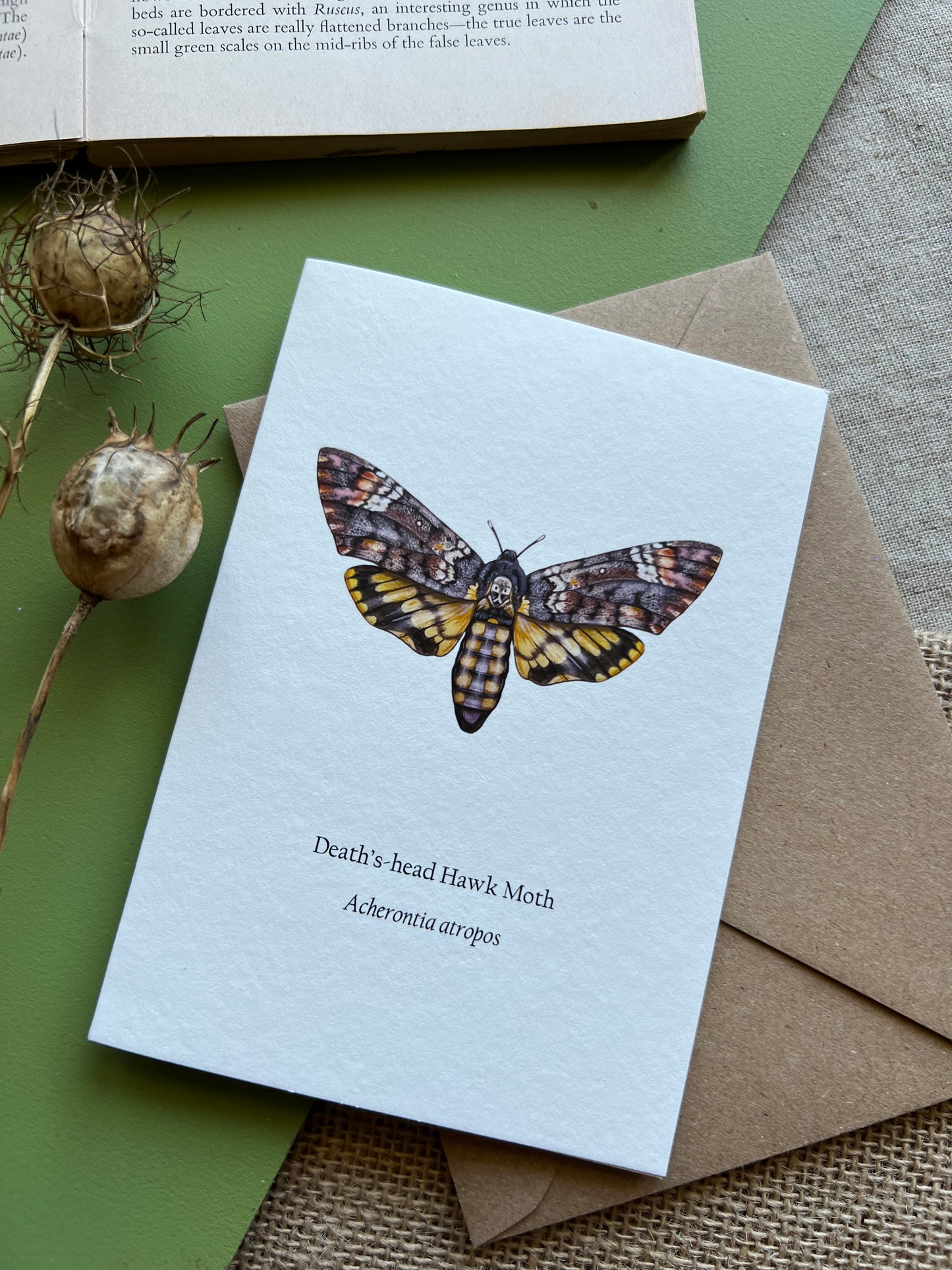 Deaths-head Hawk Moth Card