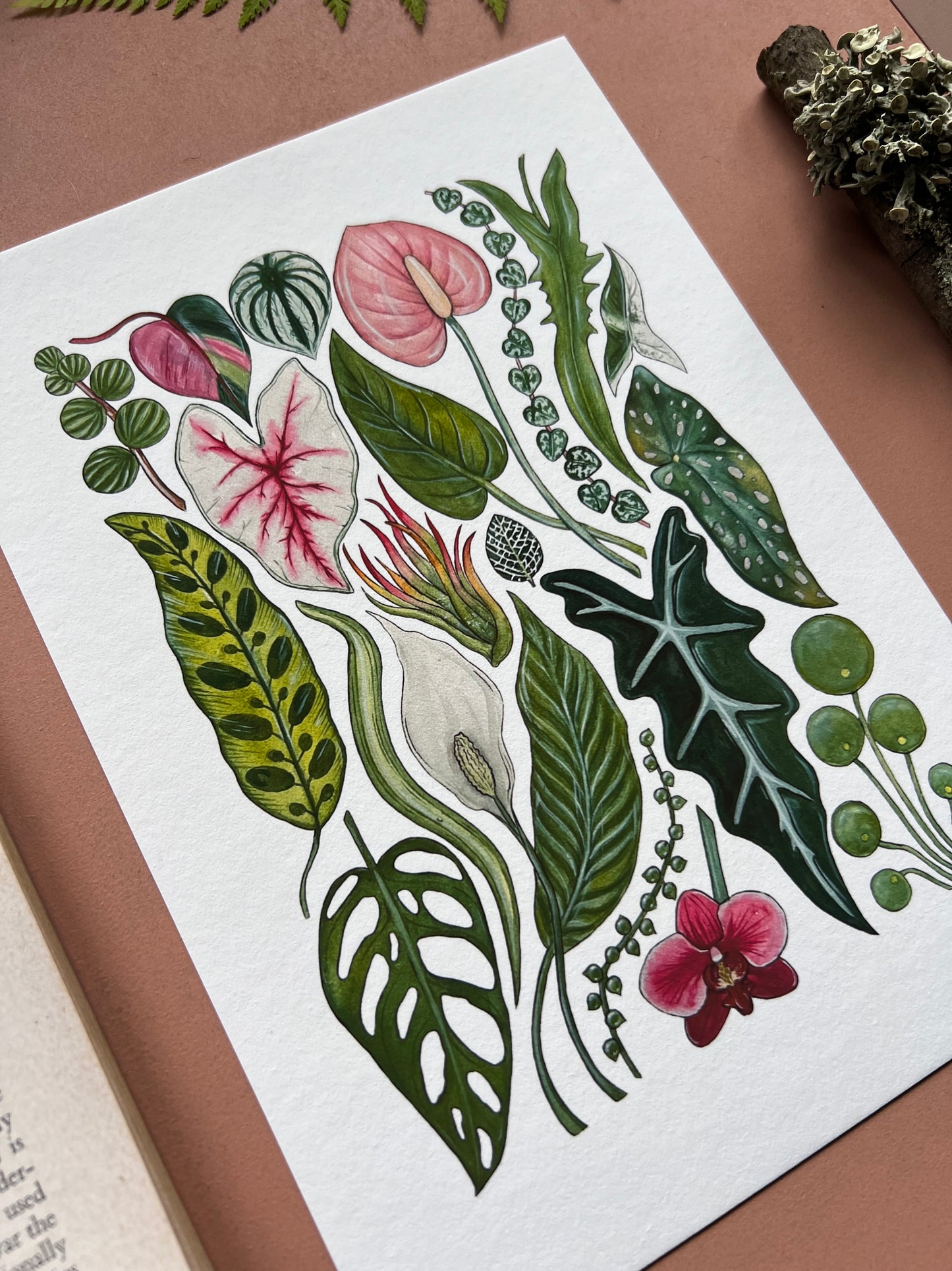 House Plants Print