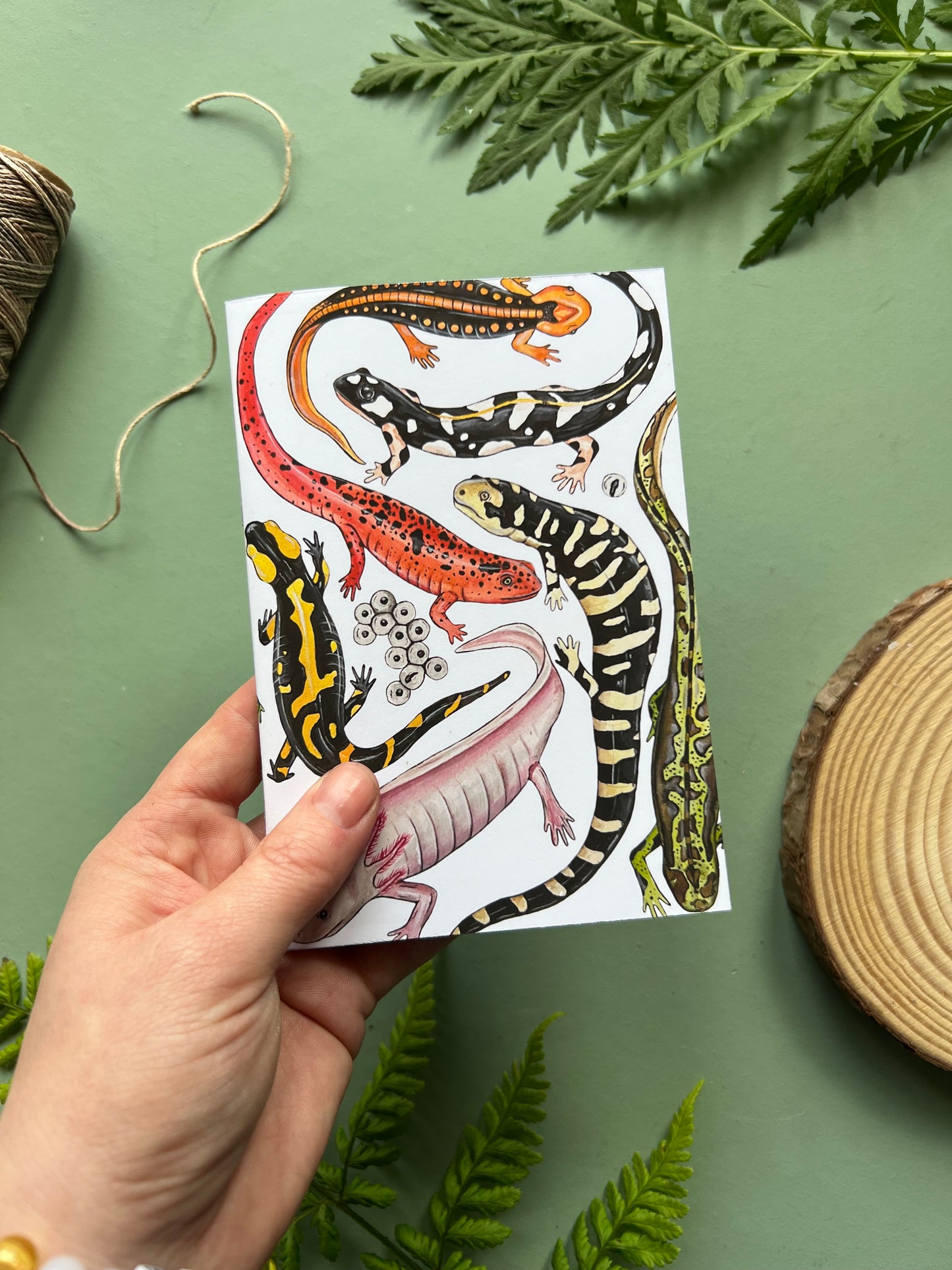 Salamander Pocket Notebook