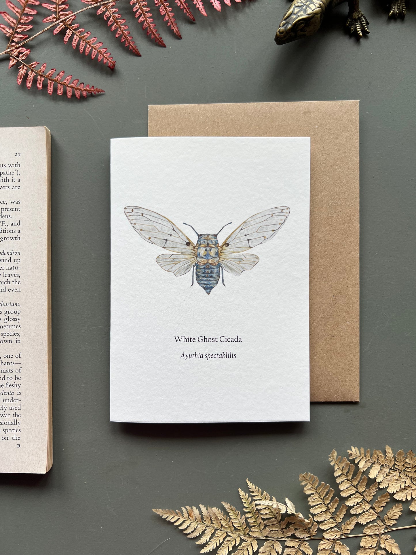 Ghost Cicada Card