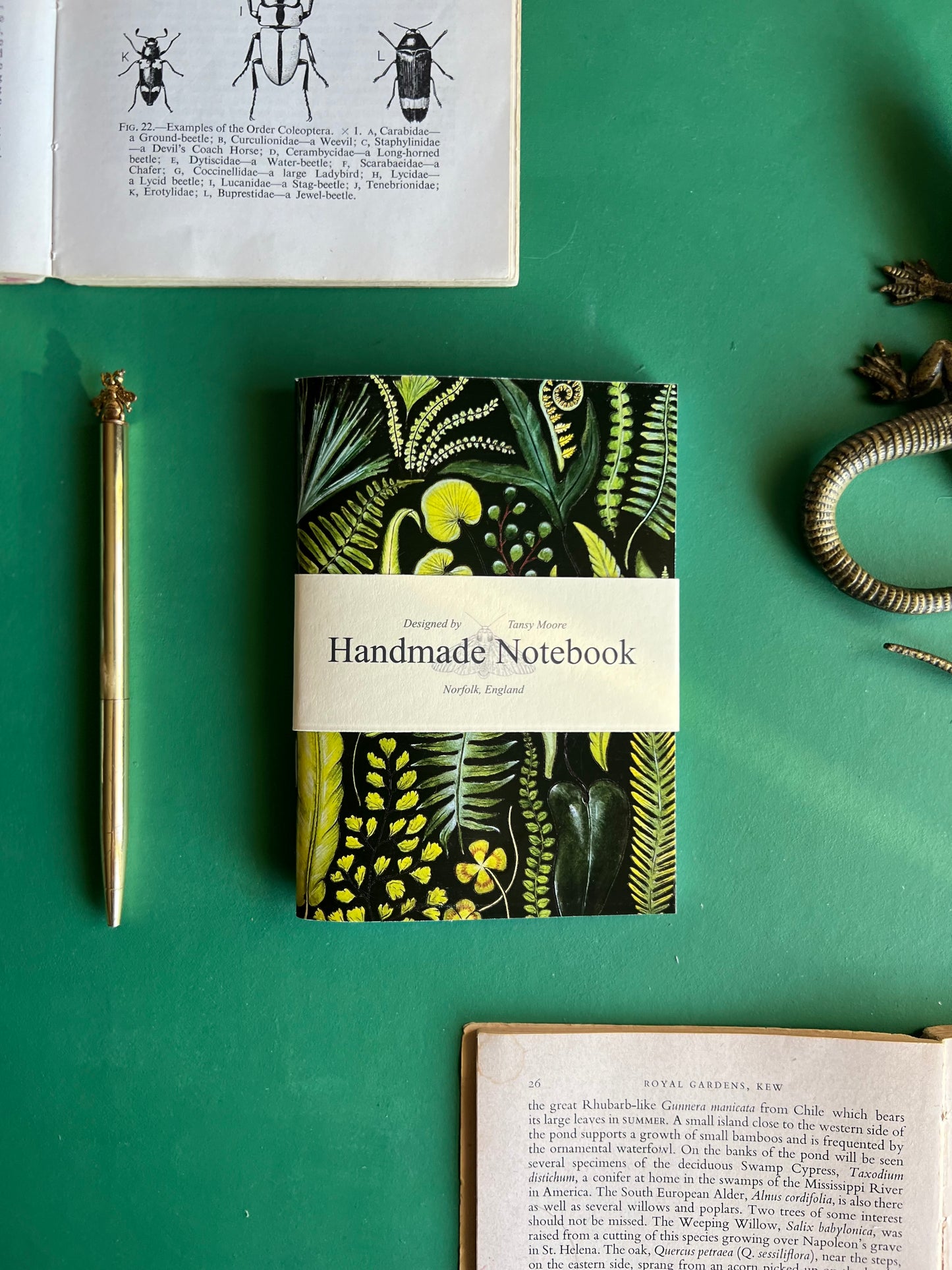 Ferns Pocket Notebook