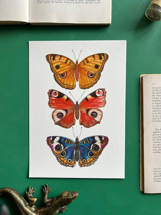 Butterflies with Eyes