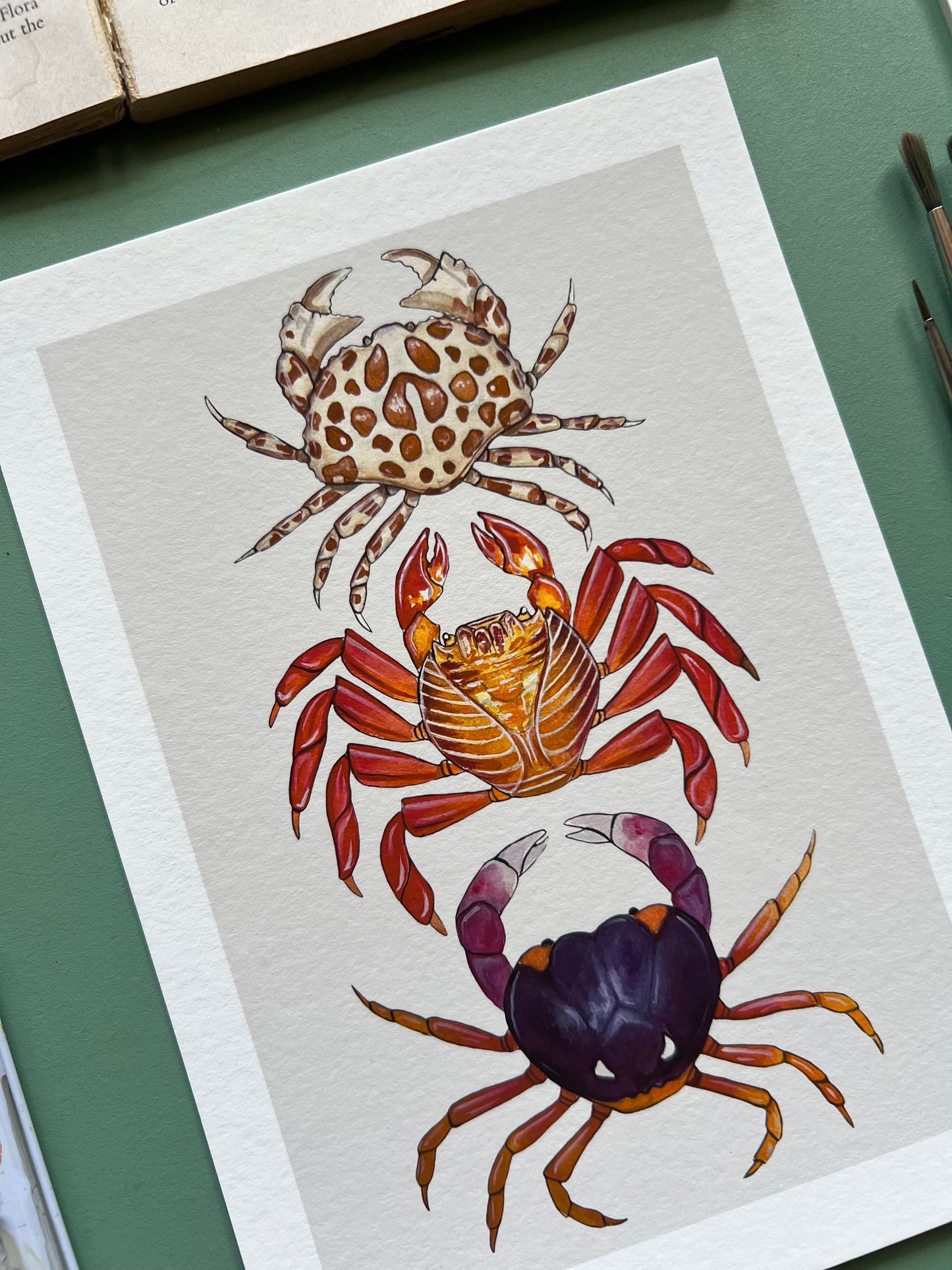 Crabs Print, Marine life