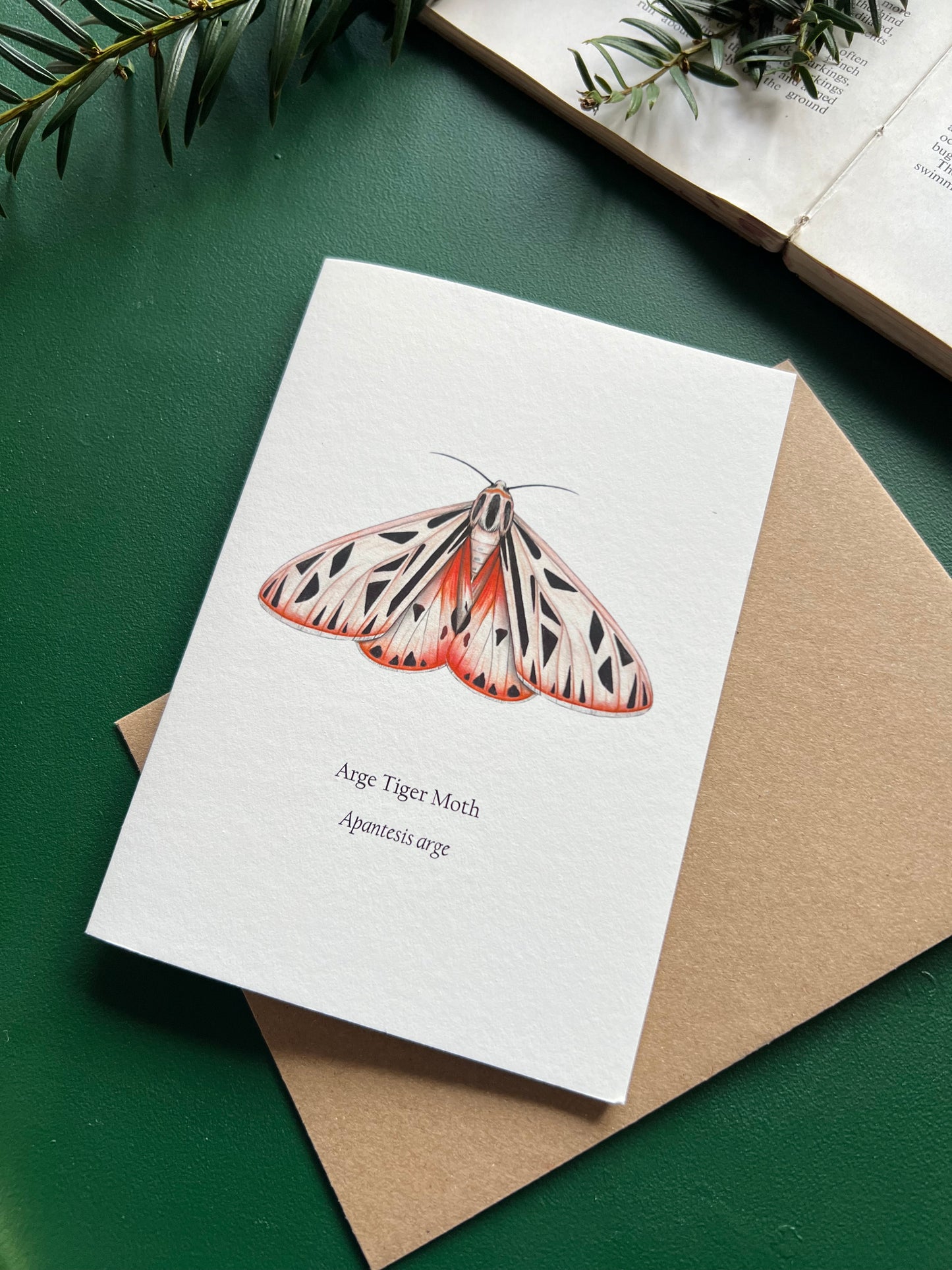 Arge Tiger Moth Card