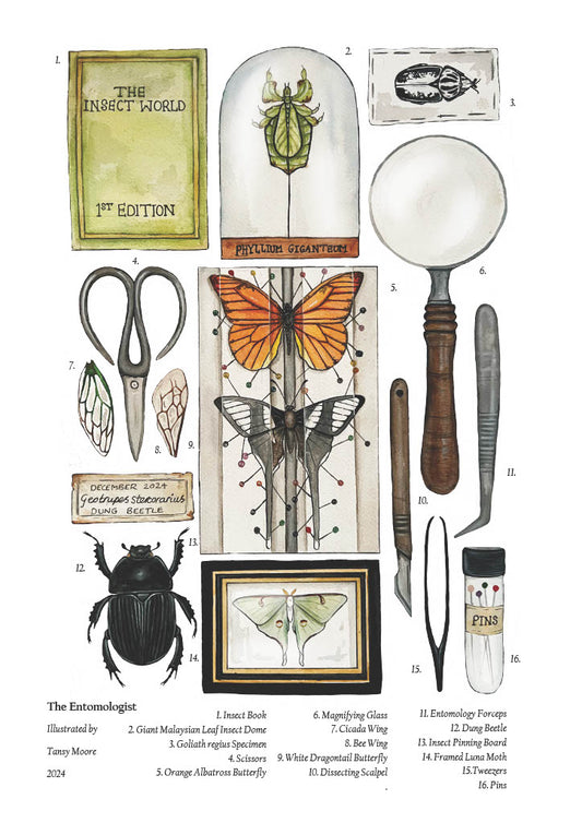 The Entomologist Print