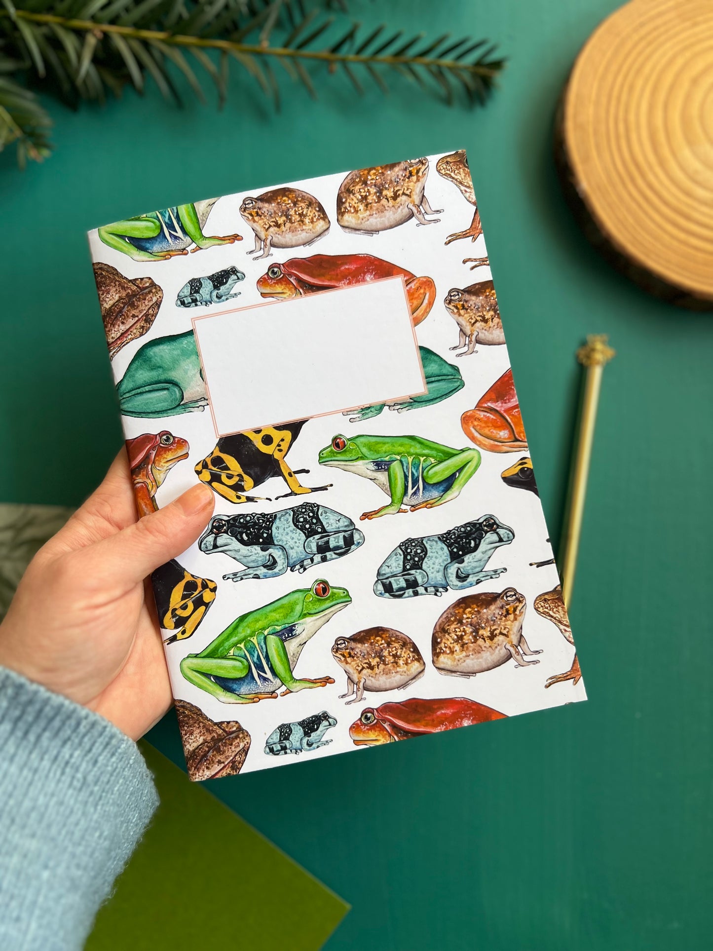 Frog Notebook