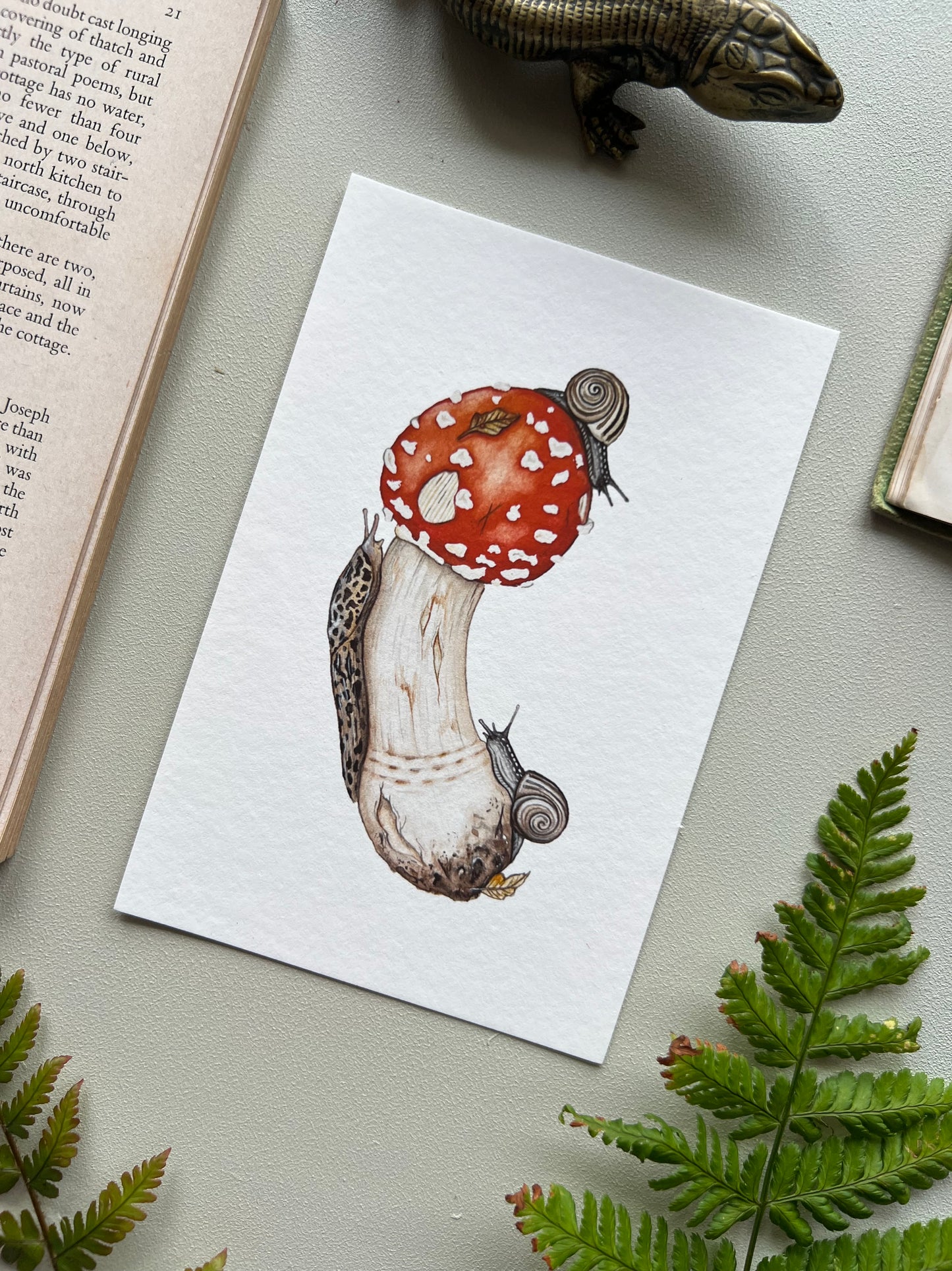 Amanita muscaria, Leopard Slug and White-lipped Grove Snails Print