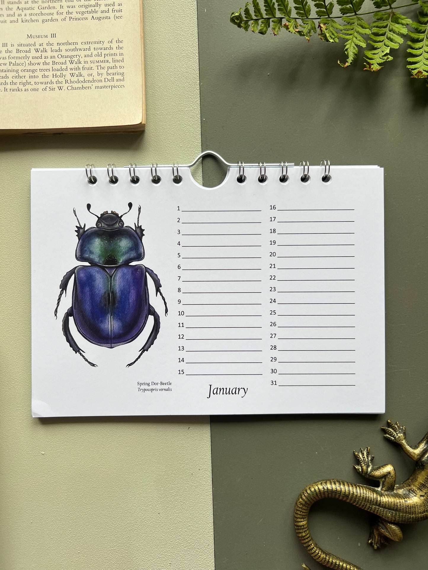 Beetle Birthday and Other Important Dates Calendar, Perpetual Calendar