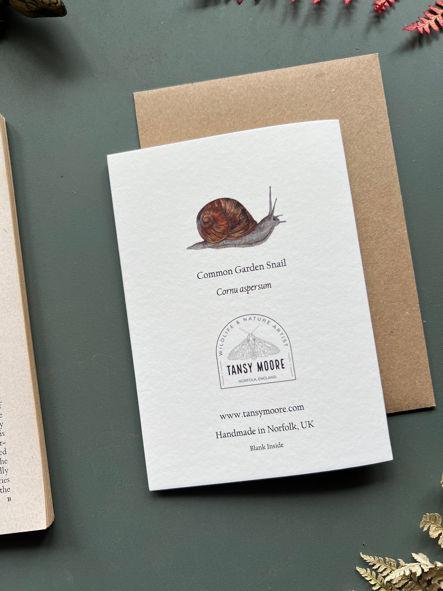 Garden Snail Card