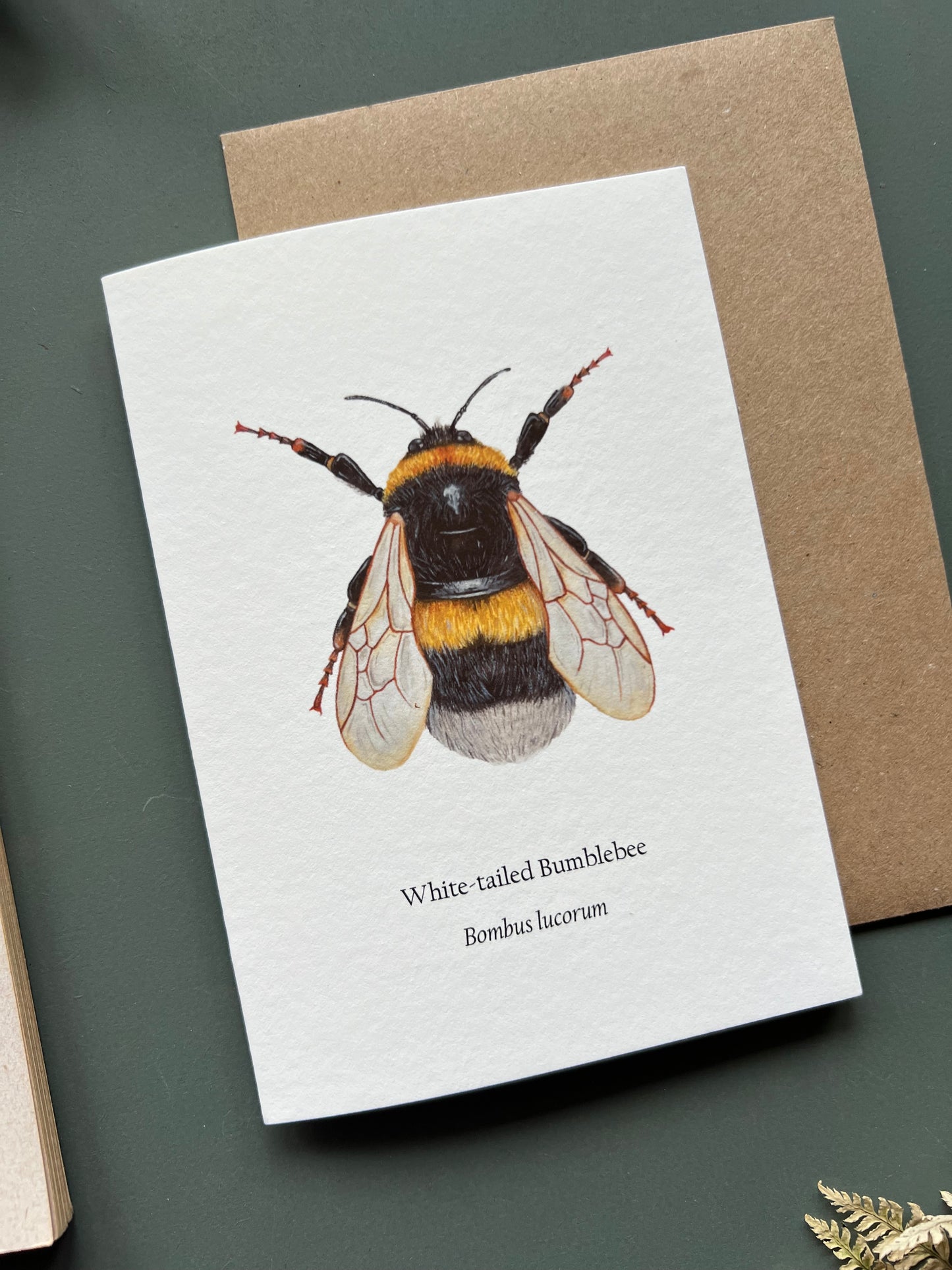 White tailed Bumblebee Card