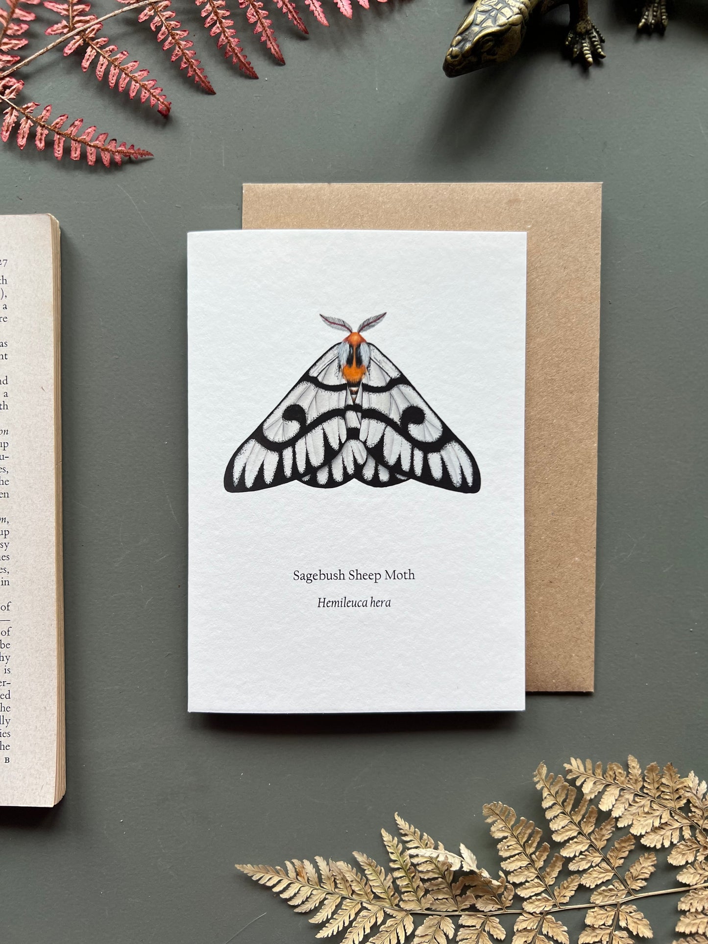 Sagebush Sheep Moth Card