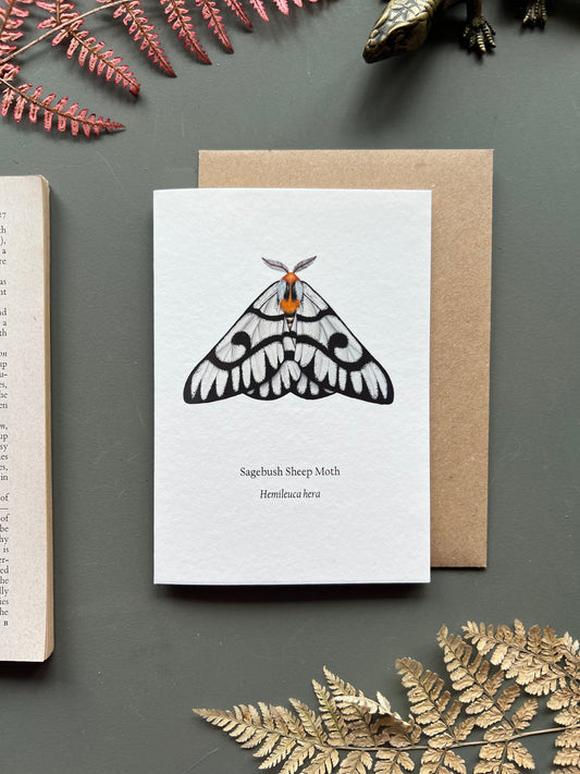 Sagebush Sheep Moth Card