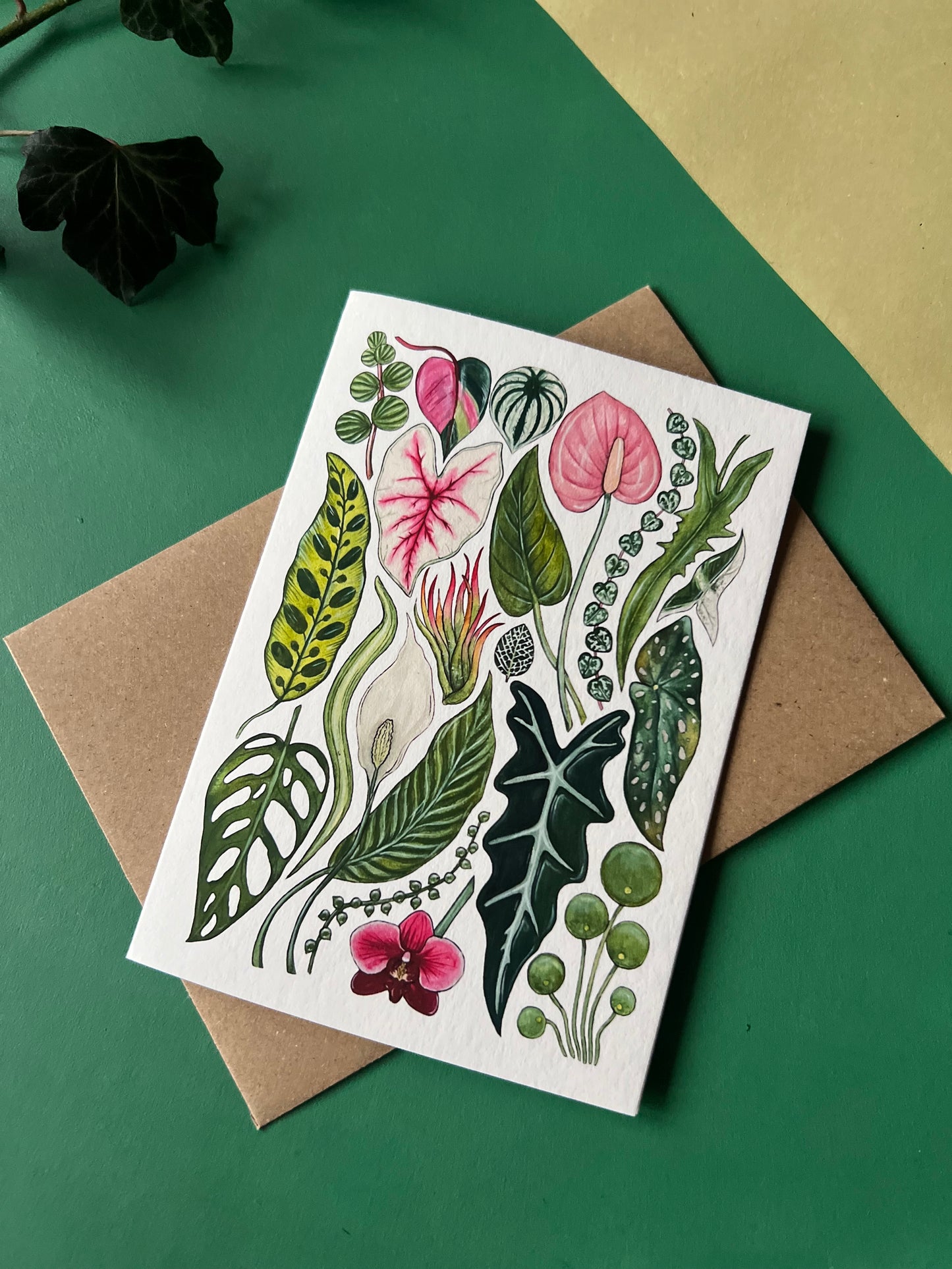 House Plants Card