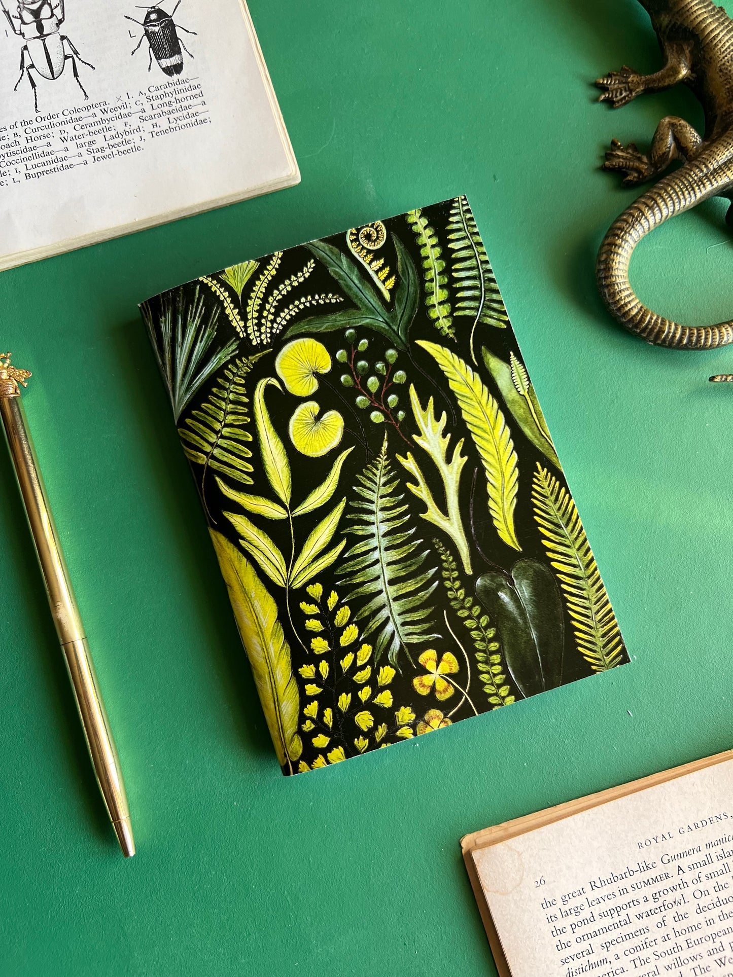 Ferns Pocket Notebook