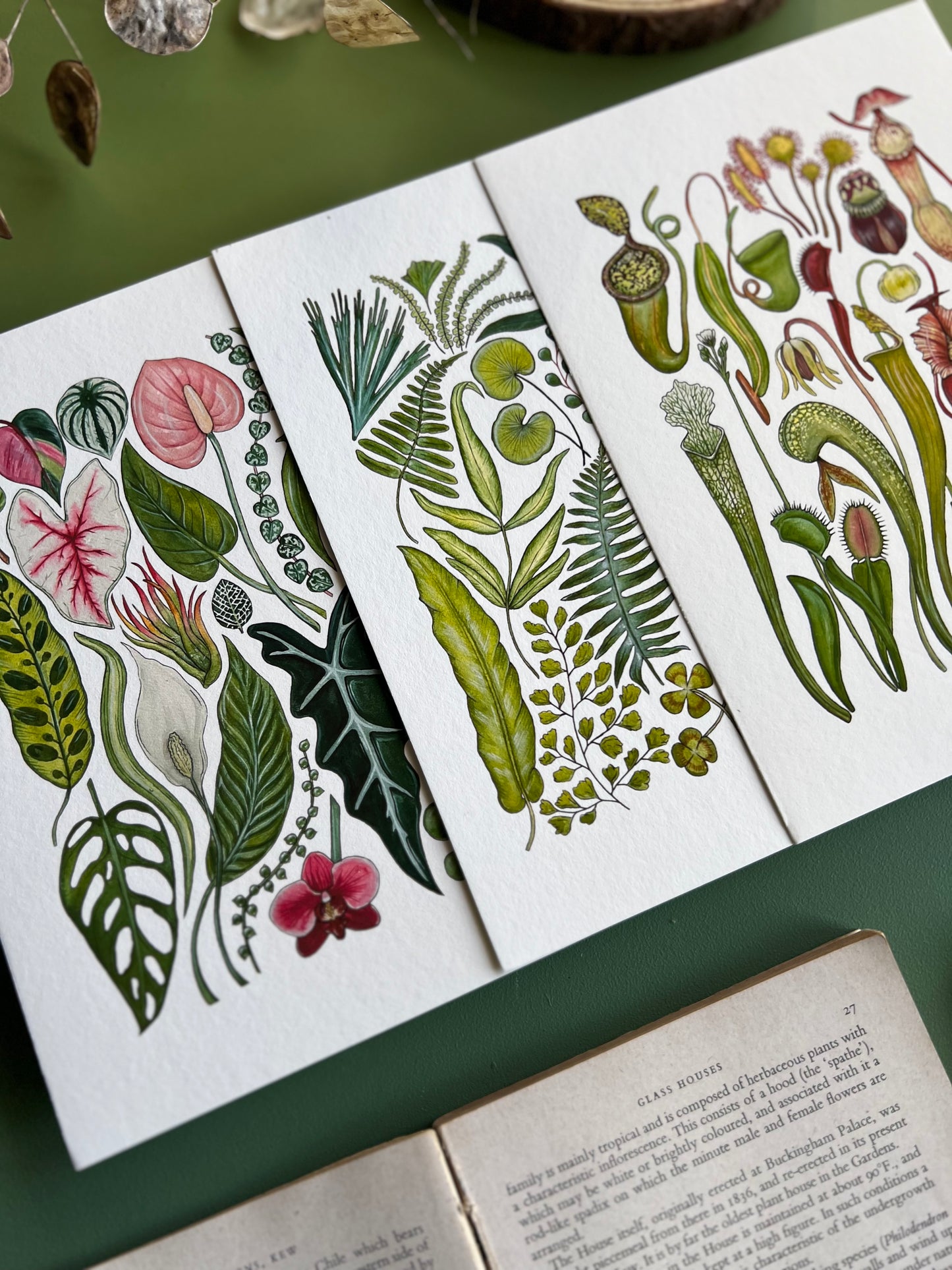 Plants Print Set