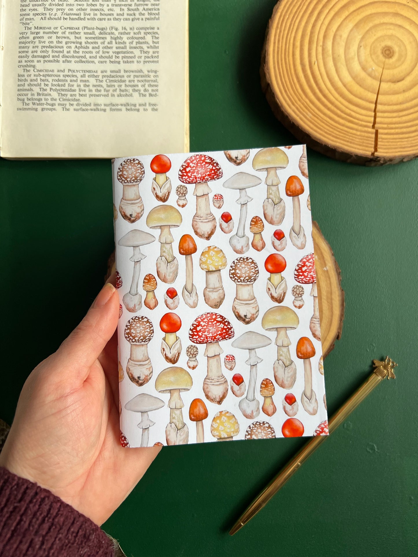 Mushroom Pocket Notebook