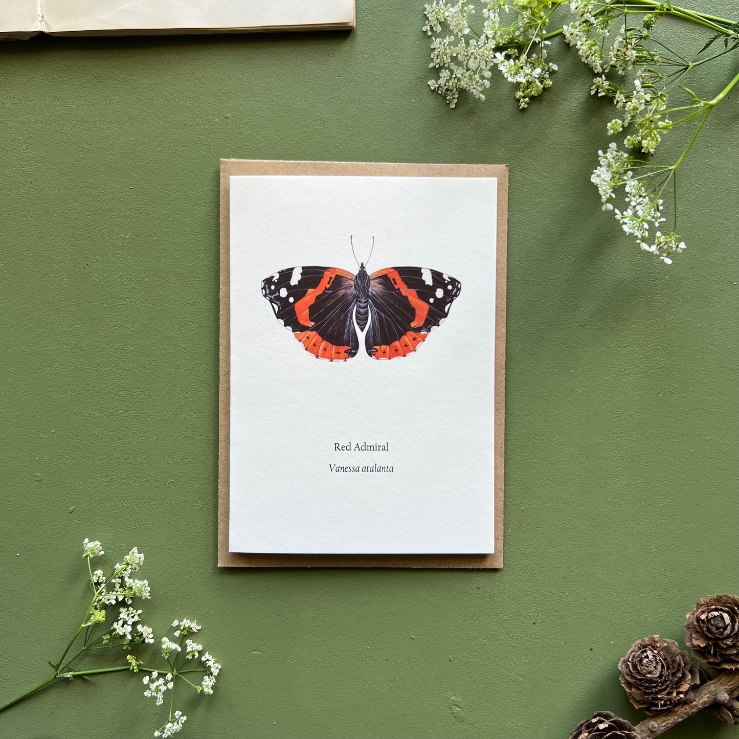 Red Admiral Card