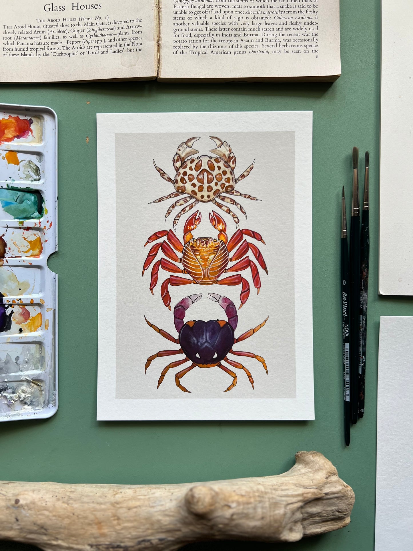 Crabs Print, Marine life