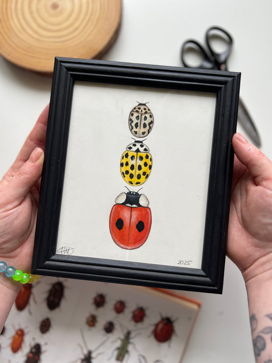 3 Ladybirds Framed Original